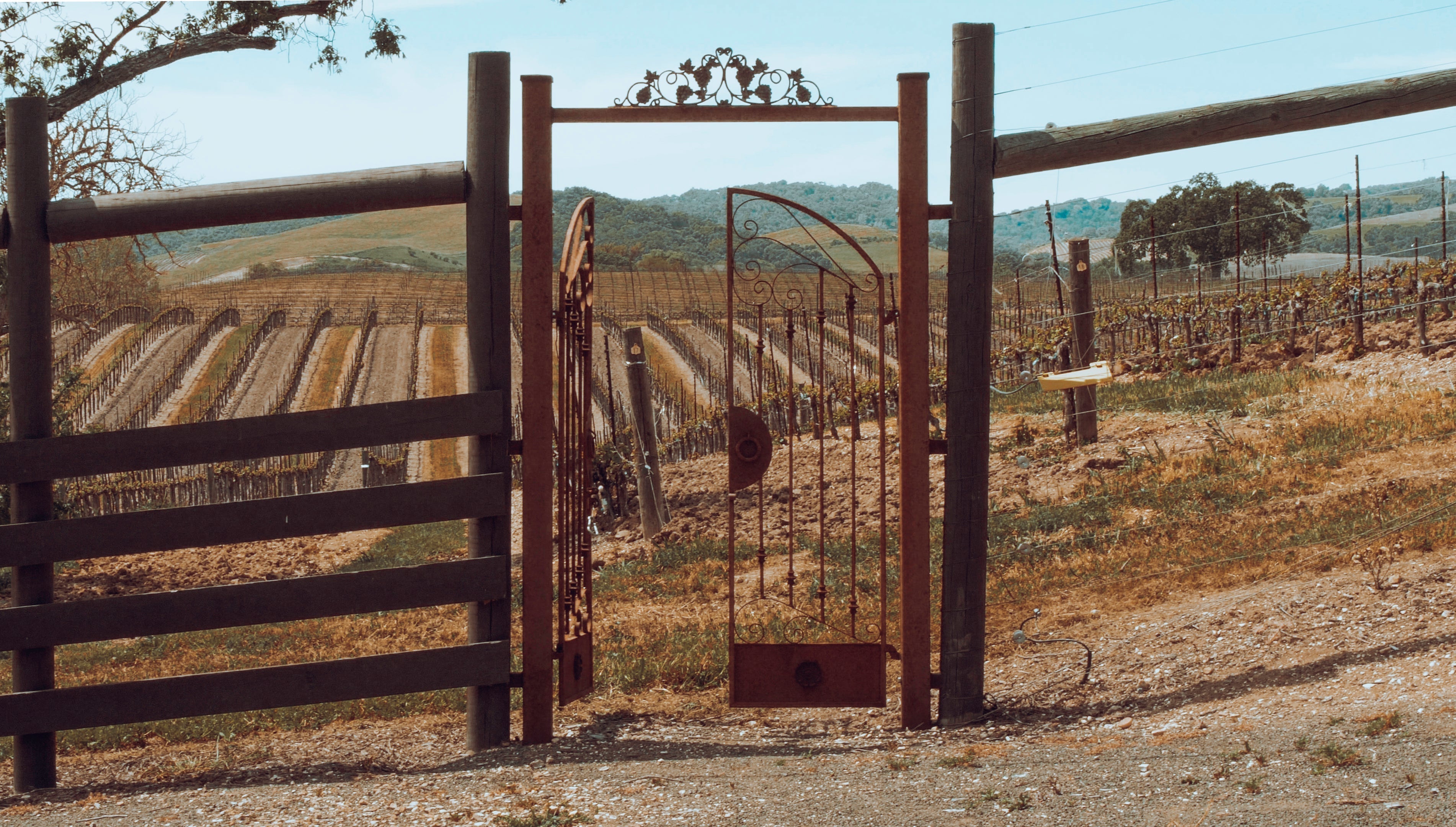 First Time In Paso Robles: 7 Tips for a Perfect Wine Country Day