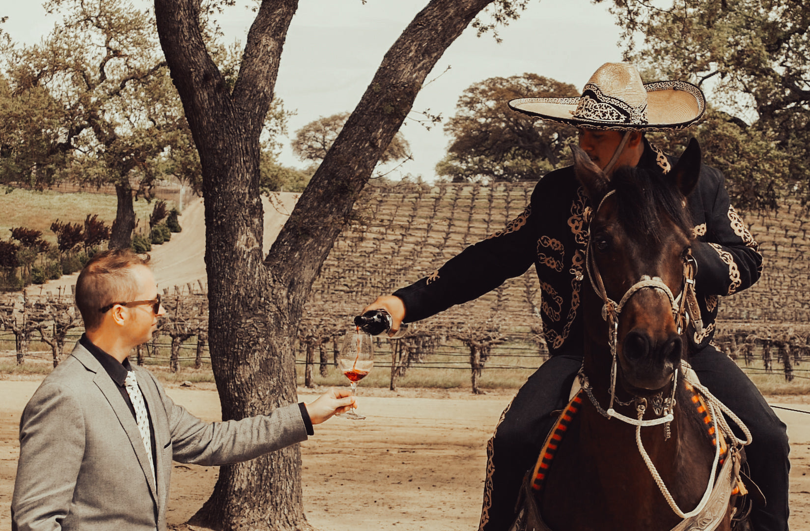 The Art of Tasting: A Beginner’s Guide to Wine in Paso Robles