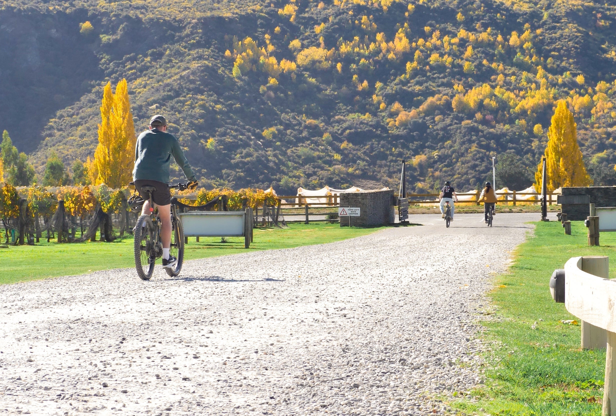 Queenstown Wine Tours: Audio-Guided vs. Traditional
