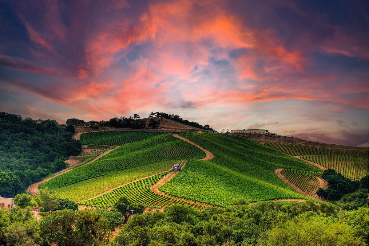 How to Plan a Wine Tasting Road Trip Through Paso Robles